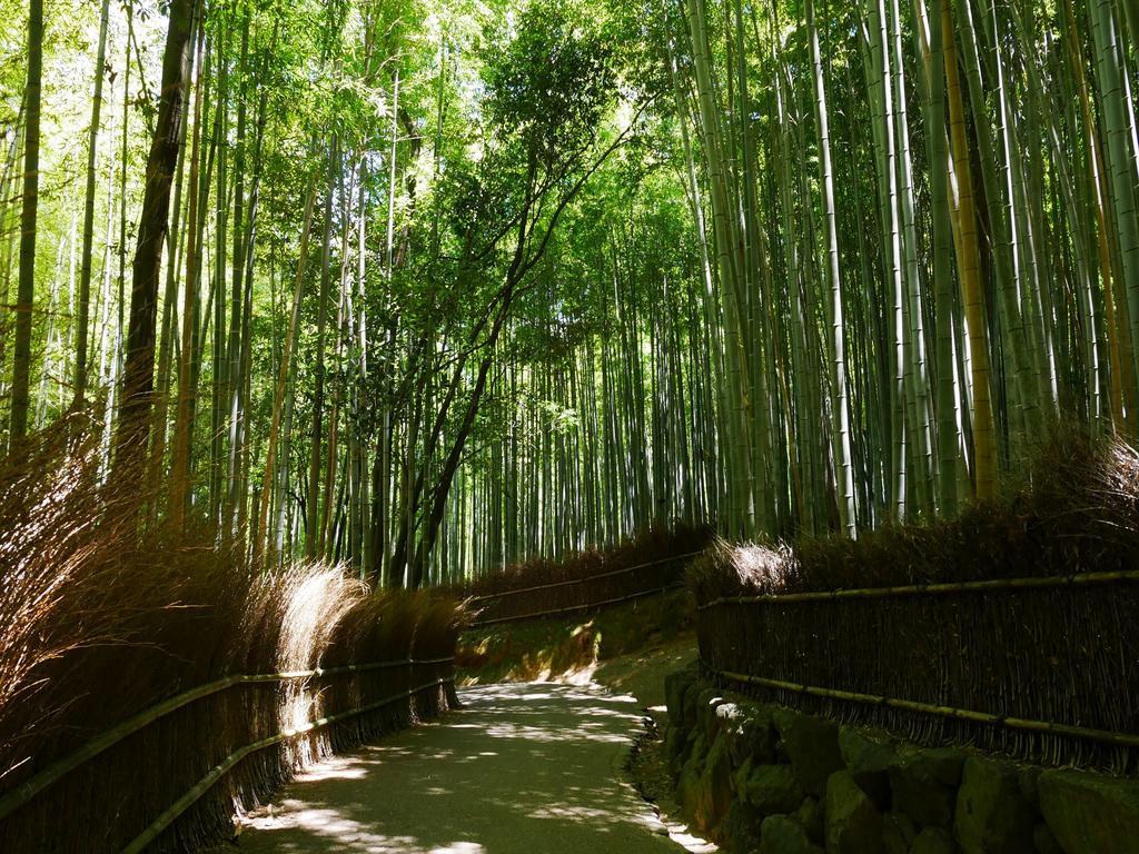 Coto Kyoto Shijoomiya 1 Quioto Exterior foto